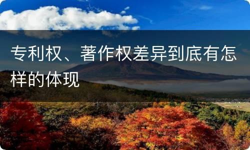 专利权、著作权差异到底有怎样的体现