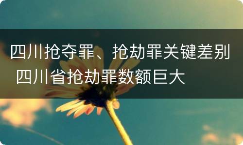 四川抢夺罪、抢劫罪关键差别 四川省抢劫罪数额巨大