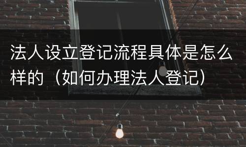 法人设立登记流程具体是怎么样的（如何办理法人登记）