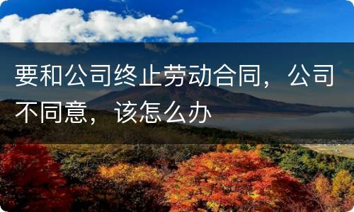 要和公司终止劳动合同，公司不同意，该怎么办