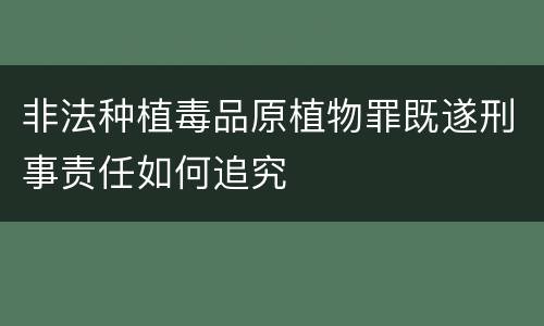 非法种植毒品原植物罪既遂刑事责任如何追究