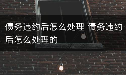 债务违约后怎么处理 债务违约后怎么处理的