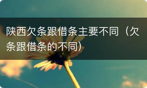 陕西欠条跟借条主要不同（欠条跟借条的不同）