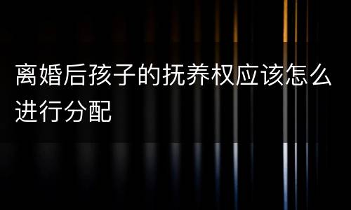 离婚后孩子的抚养权应该怎么进行分配