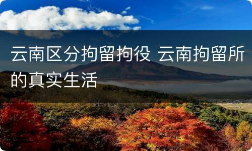云南区分拘留拘役 云南拘留所的真实生活
