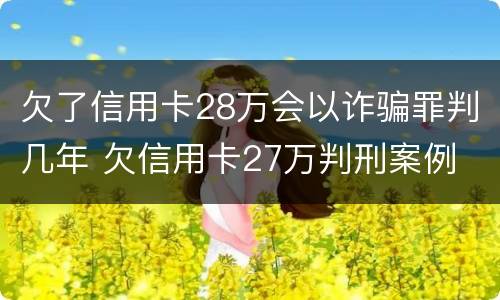 欠了信用卡28万会以诈骗罪判几年 欠信用卡27万判刑案例