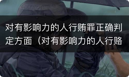 对有影响力的人行贿罪正确判定方面（对有影响力的人行赂罪的犯罪构成）