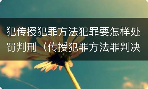 犯传授犯罪方法犯罪要怎样处罚判刑（传授犯罪方法罪判决）