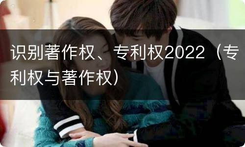 识别著作权、专利权2022（专利权与著作权）