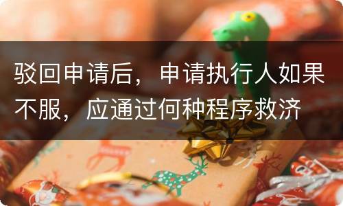 驳回申请后，申请执行人如果不服，应通过何种程序救济