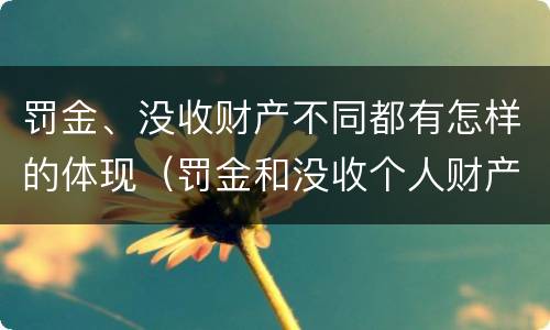 罚金、没收财产不同都有怎样的体现（罚金和没收个人财产的区别）