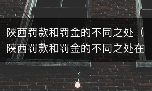 陕西罚款和罚金的不同之处（陕西罚款和罚金的不同之处在哪）