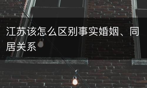 江苏该怎么区别事实婚姻、同居关系