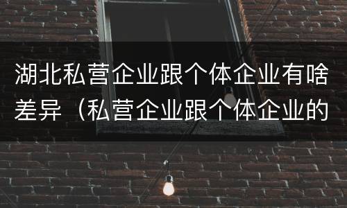 湖北私营企业跟个体企业有啥差异（私营企业跟个体企业的区别）