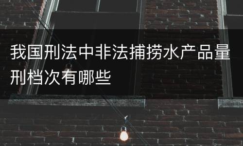 我国刑法中非法捕捞水产品量刑档次有哪些