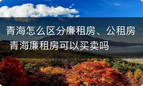 青海怎么区分廉租房、公租房 青海廉租房可以买卖吗