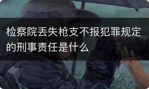 检察院丢失枪支不报犯罪规定的刑事责任是什么