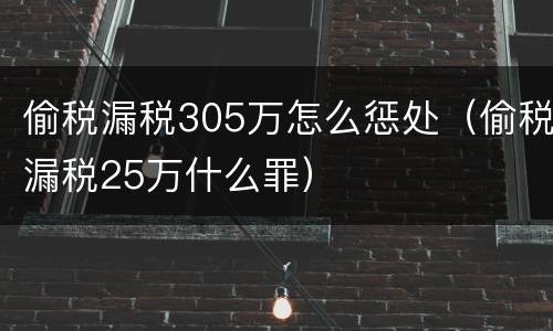 偷税漏税305万怎么惩处（偷税漏税25万什么罪）