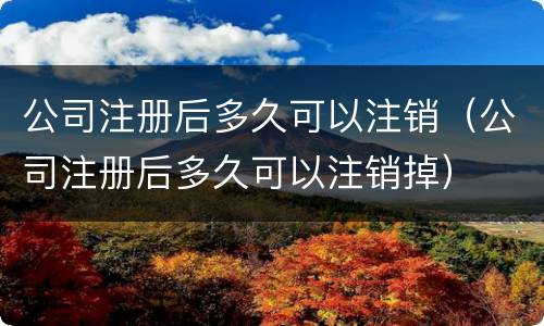 公司注册后多久可以注销（公司注册后多久可以注销掉）