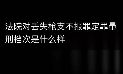 法院对丢失枪支不报罪定罪量刑档次是什么样