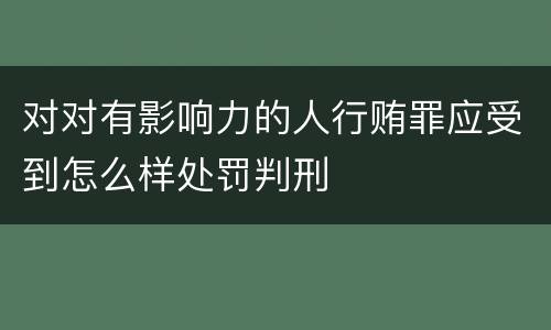 对对有影响力的人行贿罪应受到怎么样处罚判刑