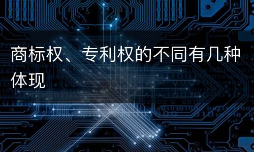 商标权、专利权的不同有几种体现