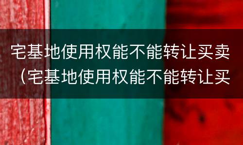宅基地使用权能不能转让买卖（宅基地使用权能不能转让买卖）