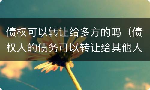 债权可以转让给多方的吗（债权人的债务可以转让给其他人吗）