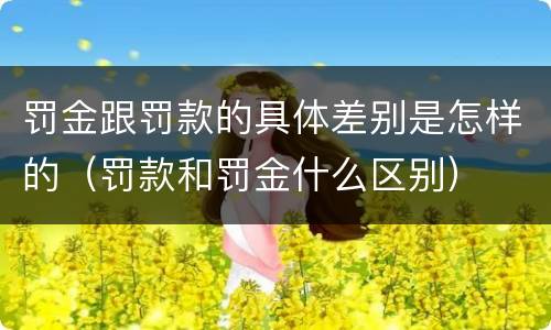 罚金跟罚款的具体差别是怎样的（罚款和罚金什么区别）