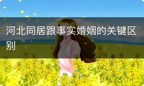 河北同居跟事实婚姻的关键区别