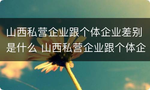 山西私营企业跟个体企业差别是什么 山西私营企业跟个体企业差别是什么样的