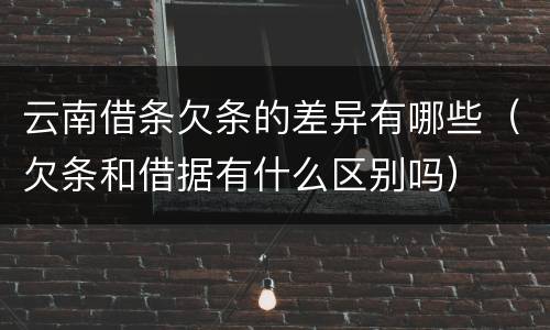 云南借条欠条的差异有哪些（欠条和借据有什么区别吗）