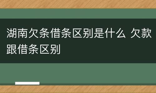 湖南欠条借条区别是什么 欠款跟借条区别