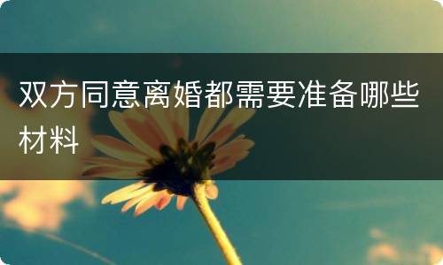 双方同意离婚都需要准备哪些材料