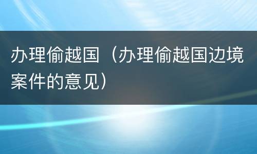 办理偷越国（办理偷越国边境案件的意见）
