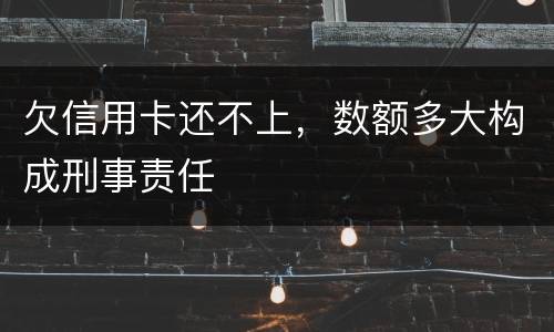 欠信用卡还不上，数额多大构成刑事责任