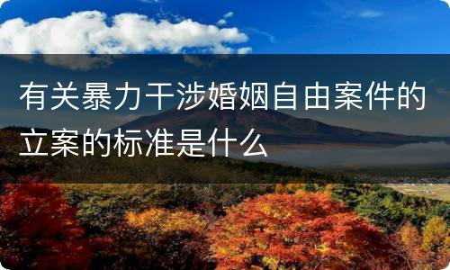 有关暴力干涉婚姻自由案件的立案的标准是什么