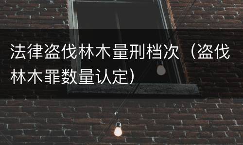 法律盗伐林木量刑档次（盗伐林木罪数量认定）