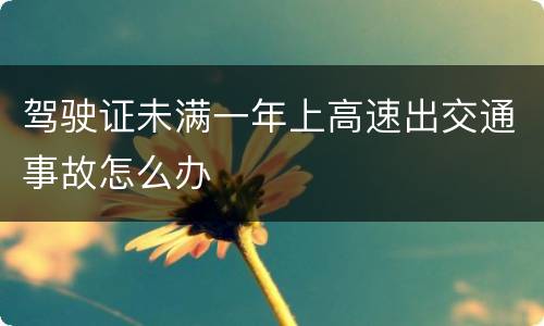 驾驶证未满一年上高速出交通事故怎么办