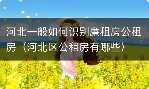 河北一般如何识别廉租房公租房（河北区公租房有哪些）