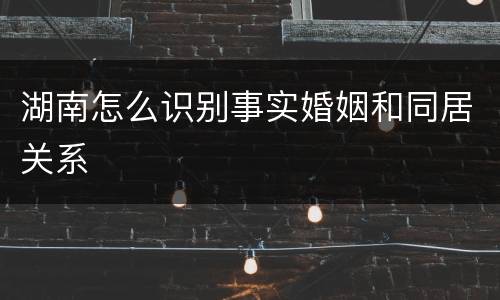 湖南怎么识别事实婚姻和同居关系