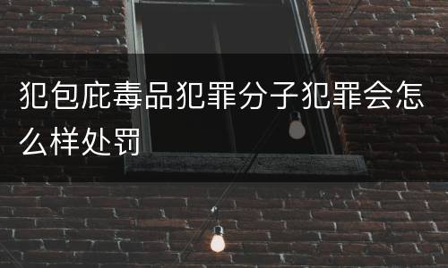 犯包庇毒品犯罪分子犯罪会怎么样处罚