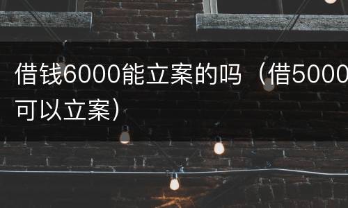 借钱6000能立案的吗（借5000可以立案）