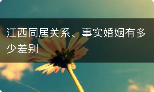 江西同居关系、事实婚姻有多少差别