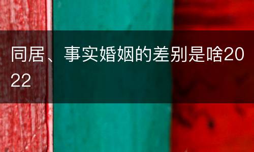 同居、事实婚姻的差别是啥2022