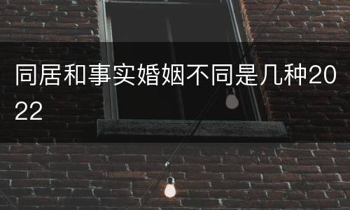 同居和事实婚姻不同是几种2022