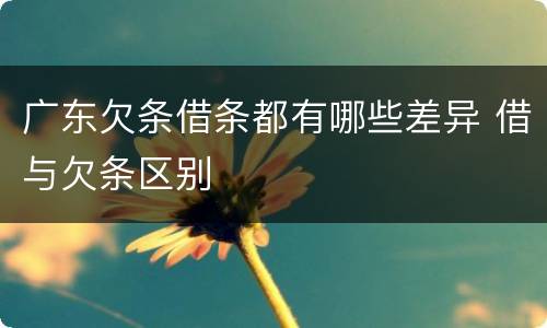 广东欠条借条都有哪些差异 借与欠条区别