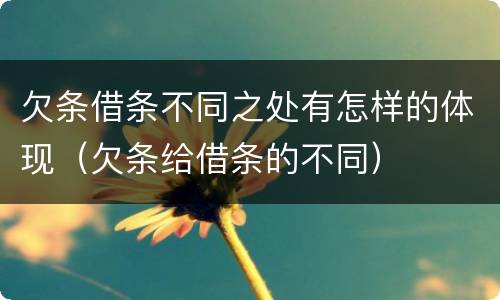 欠条借条不同之处有怎样的体现（欠条给借条的不同）