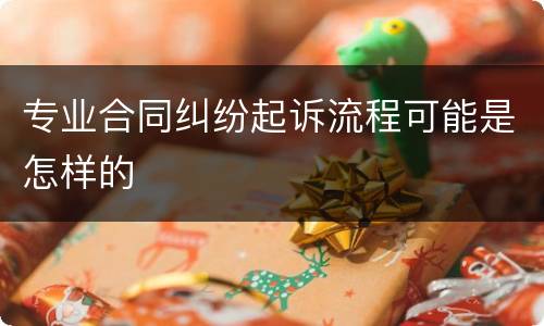 专业合同纠纷起诉流程可能是怎样的