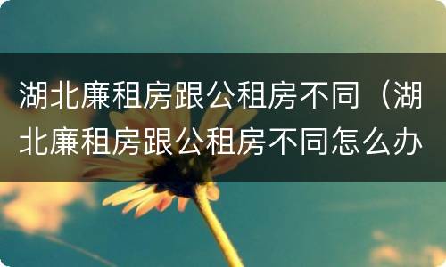 湖北廉租房跟公租房不同（湖北廉租房跟公租房不同怎么办）